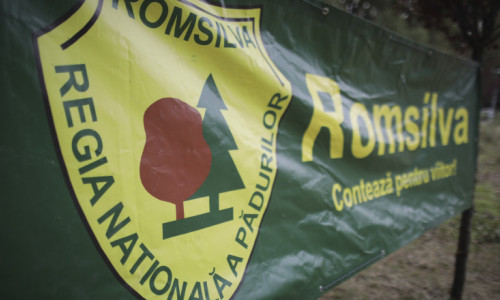 romsilva