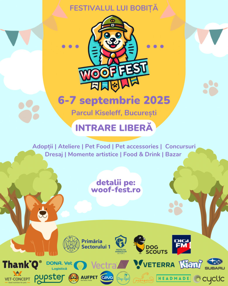 woofest Vizual 2