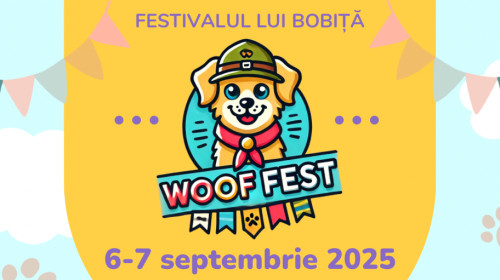 woofest Vizual 3