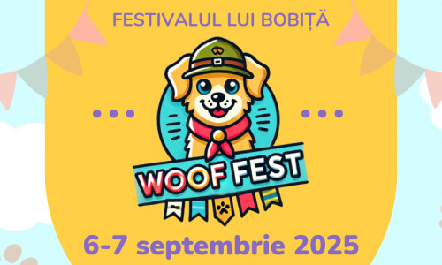 woofest Vizual 3