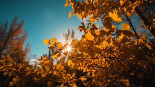 Vreme septembrie/ Unsplash