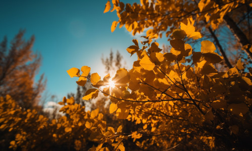 Vreme septembrie/ Unsplash