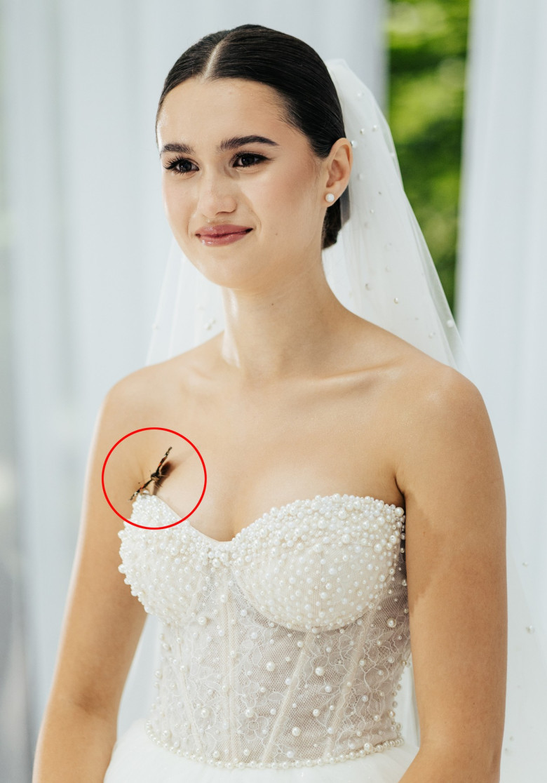 nuntă, fluture pe miri
