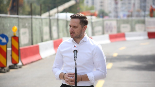 Stelian Bujduveanu