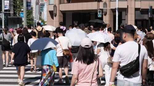 Caniculă la Tokyo/ Profimedia