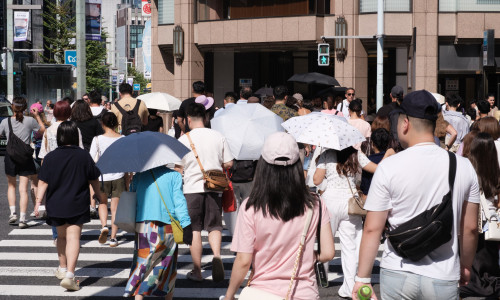 Caniculă la Tokyo/ Profimedia
