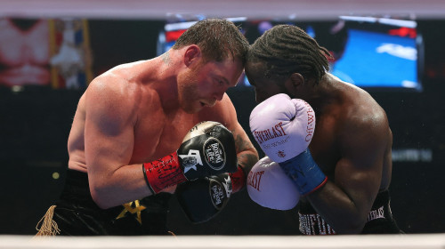 Canelo Alvarez si Terence Crawford (3)