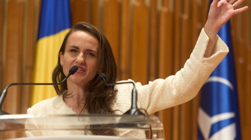 Oana Ţoiu/ Profimedia