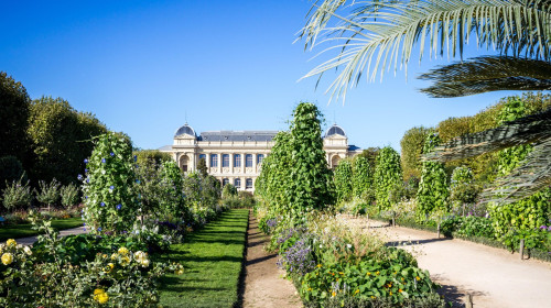 Jardin des plantes botanical garden and museum, Paris, France. Jardin des plantes Park and museum, Paris, France