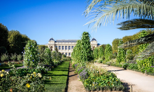 Jardin des plantes botanical garden and museum, Paris, France. Jardin des plantes Park and museum, Paris, France