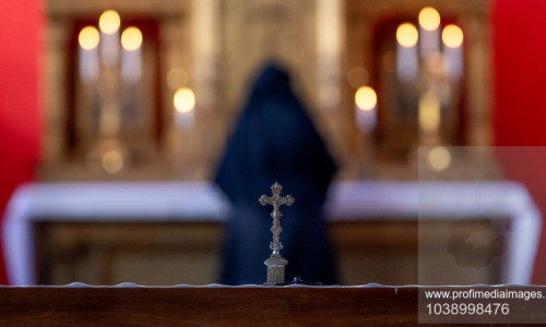 Călugăriță/ Profimedia