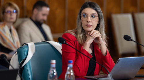 diana buzoianu