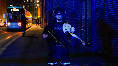 Trei băieți, doi dintre ei minori, au fost arestați la Oslo după ce au aruncat grenade în centrul orașului/ Profimedia