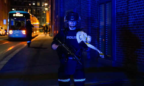 Trei băieți, doi dintre ei minori, au fost arestați la Oslo după ce au aruncat grenade în centrul orașului/ Profimedia