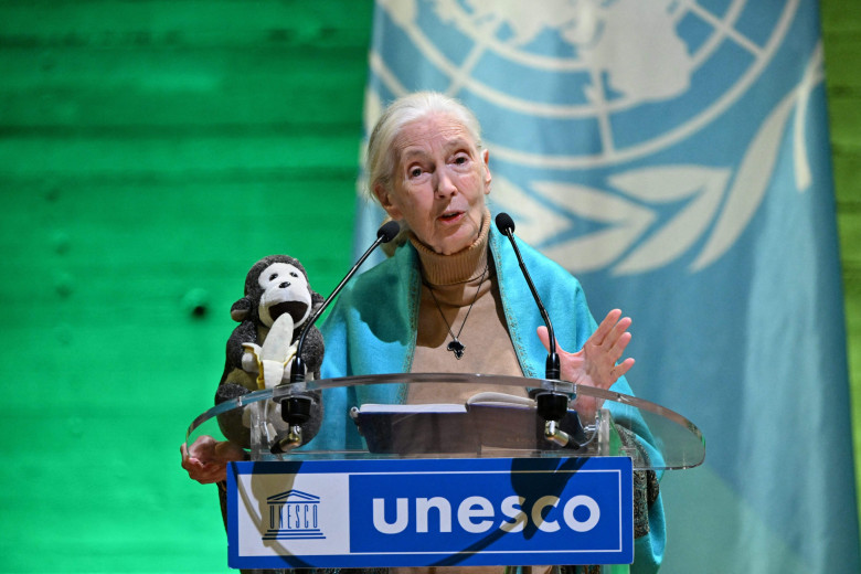 Jane Goodall speaks at the UNESCO