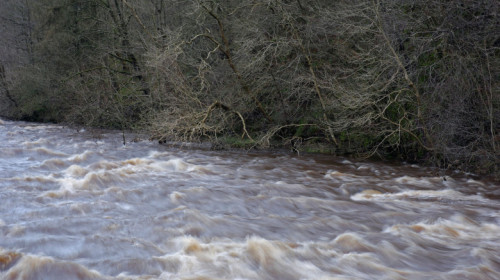 inundatii