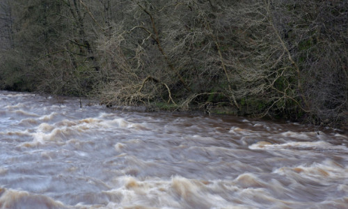 inundatii