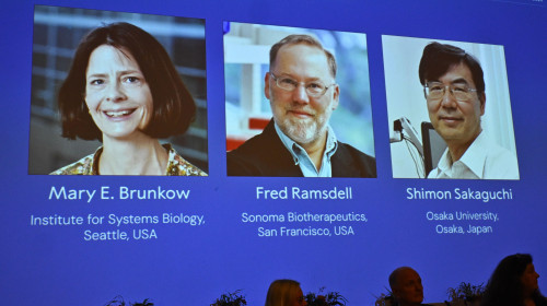 STOCKHOLM, SWEDEN 20251006Mary E Brunkow, Fred Ramsdell and Shimon Sakaguchi are awarded this year's Nobel Prize in Medicine or Physiology. The Nobel Assembly at Karolinska Institutet announce the Nobel Prize in Physiology or Medicine on October 6, 2025.
