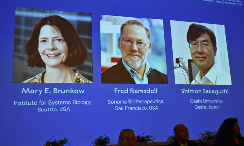 STOCKHOLM, SWEDEN 20251006Mary E Brunkow, Fred Ramsdell and Shimon Sakaguchi are awarded this year's Nobel Prize in Medicine or Physiology. The Nobel Assembly at Karolinska Institutet announce the Nobel Prize in Physiology or Medicine on October 6, 2025.