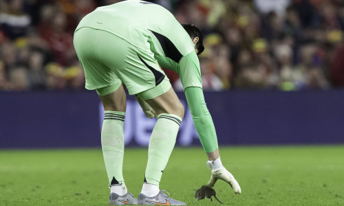 Thibaut Courtois/ Profimedia