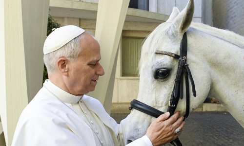 Pope Leo XIV Receives Purebred Arabian White Horse As A Gift - Vatican