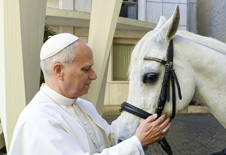 Pope Leo XIV Receives Purebred Arabian White Horse As A Gift - Vatican