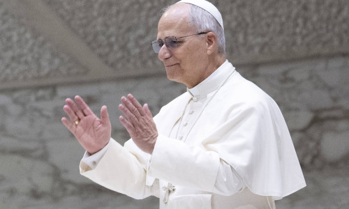 Papa Leon al XIV-lea/ Profimedia