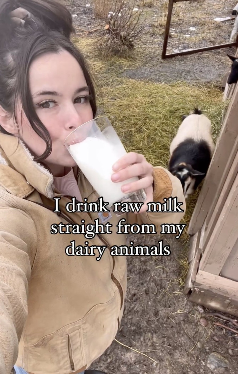 'I am a homestead stockpiler preparing for global collapse – my pantry could feed a family for 10 YEARS and I will be eating freeze-dried Christmas dinner'