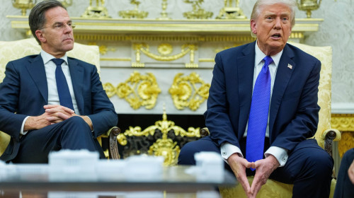 Trump Meets Rutte of NATO in the Oval Office