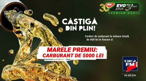 site castiga din plin