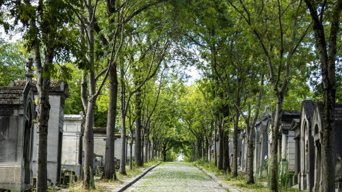 Travel Photos France: Paris, OrlÃAns, Bordeaux, Lusignan, Mont-Saint-Michel, And Normandy.