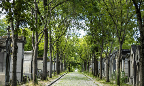 Travel Photos France: Paris, OrlÃAns, Bordeaux, Lusignan, Mont-Saint-Michel, And Normandy.