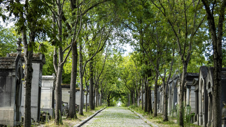 Travel Photos France: Paris, OrlÃAns, Bordeaux, Lusignan, Mont-Saint-Michel, And Normandy.