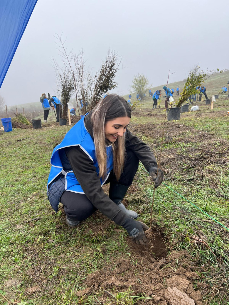 84d5986c-0dc7-429a-b07c-d15a9b7c119a