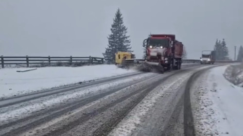 ninsoare jud suceava