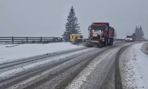 ninsoare jud suceava