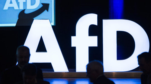 Alternative For Germany (AfD) Launches European Parliamentary Elections Campaign