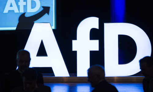 Alternative For Germany (AfD) Launches European Parliamentary Elections Campaign