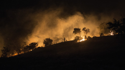 O pădure din Iran, inclusă în patrimoniul UNESCO, a fost cuprinsă de flăcări/ Profimedia