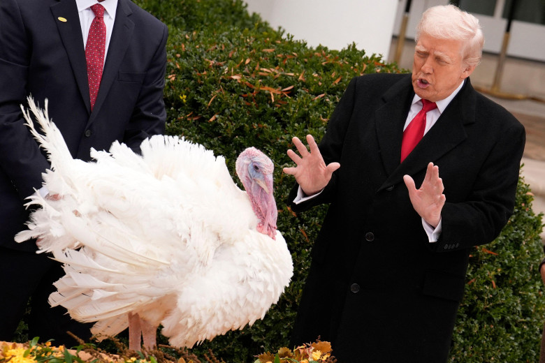 US President Donald Trump and first lady Melania Trump participate in the Thanksgiving Turkey Pardoning of Gobble and Waddle in the Rose Garden at the White House in Washington on November 25, 2025. Photo by Yuri Gripas/ABACAPRESS.COM