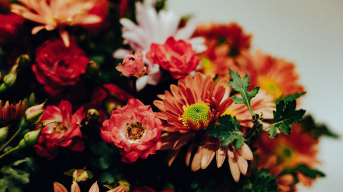 Vibrant bouquet of colorful flowers in full bloom against a soft background. This beautiful floral arrangement features a variety of blooms in shades