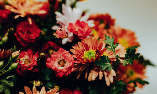 Vibrant bouquet of colorful flowers in full bloom against a soft background. This beautiful floral arrangement features a variety of blooms in shades