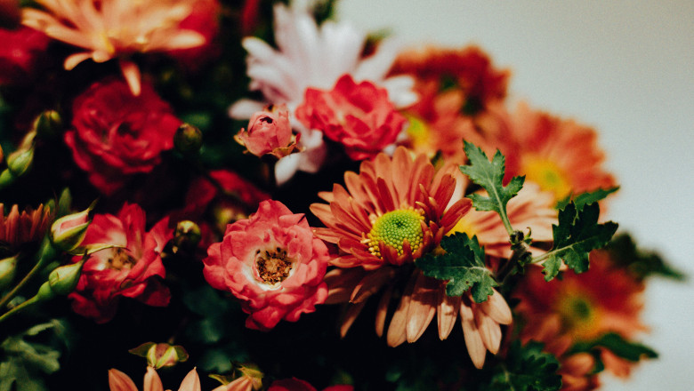 Vibrant bouquet of colorful flowers in full bloom against a soft background. This beautiful floral arrangement features a variety of blooms in shades