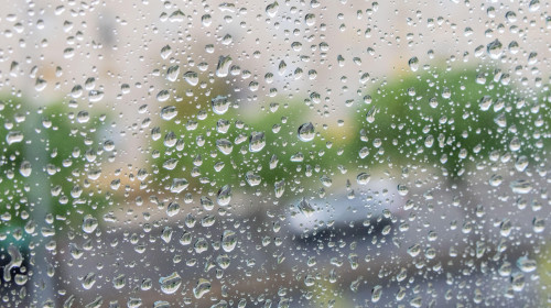 Raindrops clinging to window glass, blurring the distant urban street and green trees