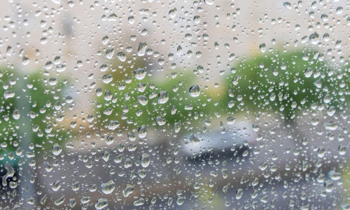 Raindrops clinging to window glass, blurring the distant urban street and green trees