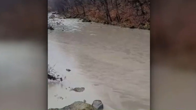 "Tinsel Town" World Premiere - Special Access