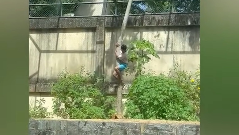 prague astronomical clock