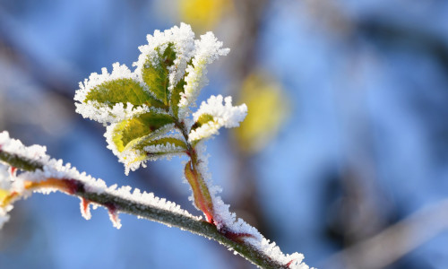 Prognoza meteo până spre sfârșitul lunii decembrie 2025/ Freepik