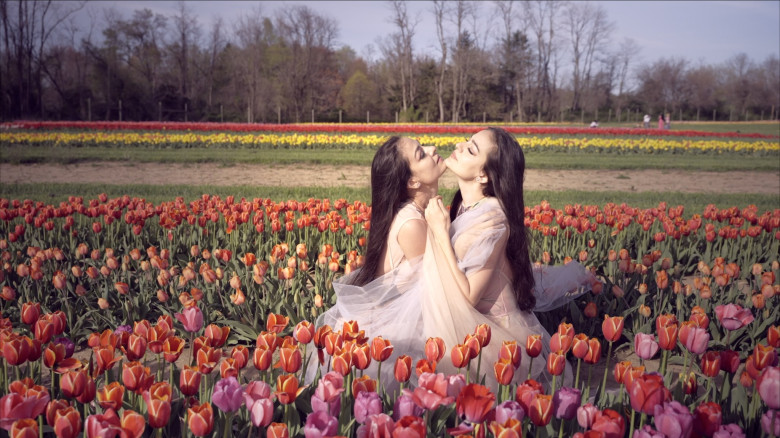 gemenele de la indiggo (5)