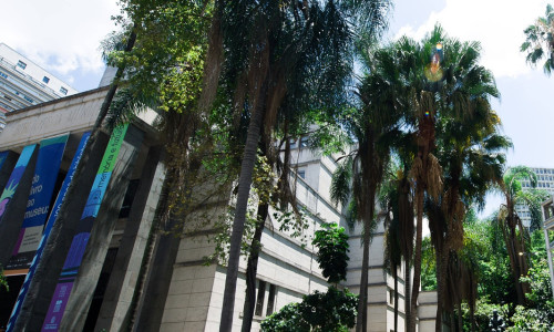 Biblioteca Mário de Andrade 100 anos